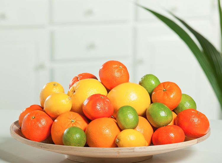Mix van 3 Citrus planten - citroen, sinaasappel, limoen