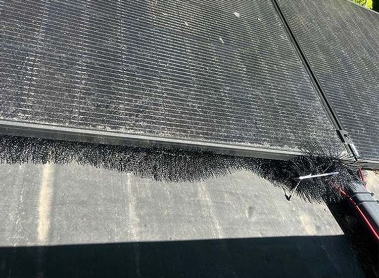 JONSKA Bird Blocker - 12 meter - ø12 cm - Vogelwering voor Zonnepanelen - Dakgoot-Egel / Dakgootborstel / Gootborstel / Gootdrain / Dakgootbescherming
