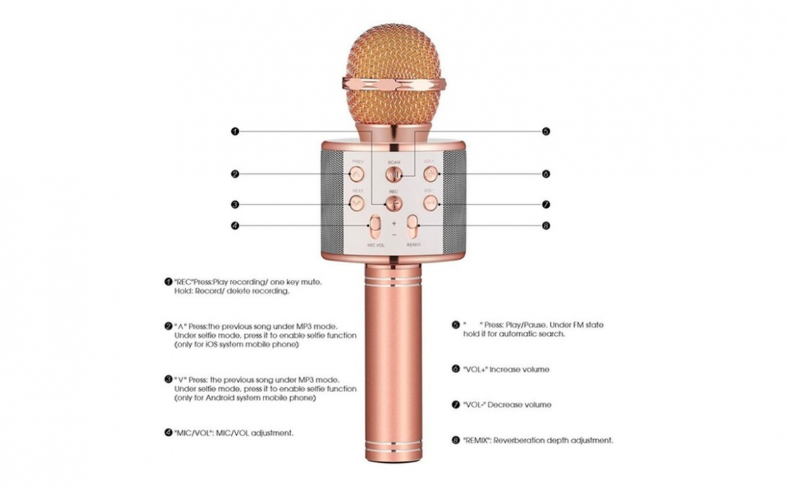 Karaoke Microfoon - Roze