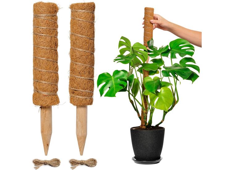FEDEC Mosstok voor planten - Plantenstok - 30cm tot 50cm - 2 stuks