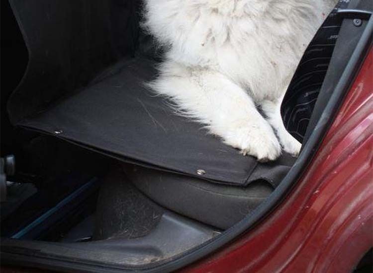 Lowander Auto Achterbank Beschermhoes voor Honden