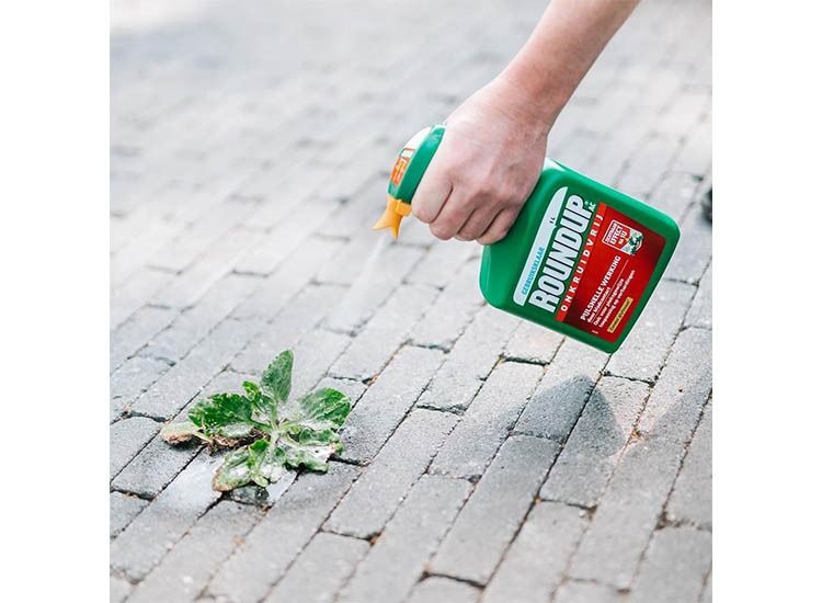 ROUNDUP® Onkruidvrij Kant en Klaar Spray - 1L voor 10m² - Onkruidverdelger - Onkruidverwijderaars zonder glyfosaat