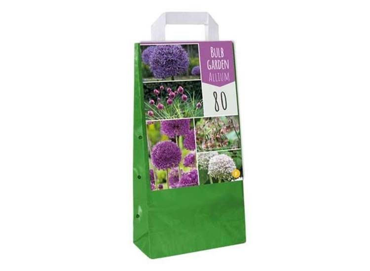 Allium 'sieruien' bloembollen - mix van 160 bollen
