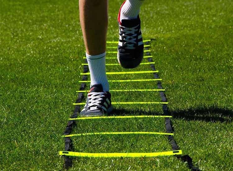 NordFalk Loopladder - 6 meter - incl. Draagtas