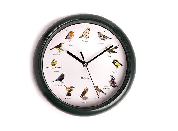 Nexxt vogelklok – Ø25 cm - donkergroen - Klok met vogelgeluiden elk uur
