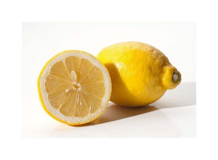 Citrus Limon Pyramid