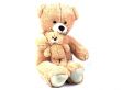 Grote Teddybeer Knuffel met Baby - 80 cm