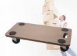 Benson transport trolley met handgreep - Helpt je met dragen tot 200 kg
