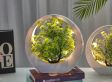 FEDEC LED Bloemlamp - Kantoorlamp - Kunstplant - Groen/Wit