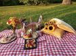 XL Picknickkleed - Waterproof - 200x200cm - Met sluiting - Rood