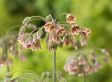 Happy Bee & Butterfly - Mix van 120 bollen