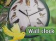 Starlyf Birdsong Clock - Klok met Vogelgeluiden elk uur